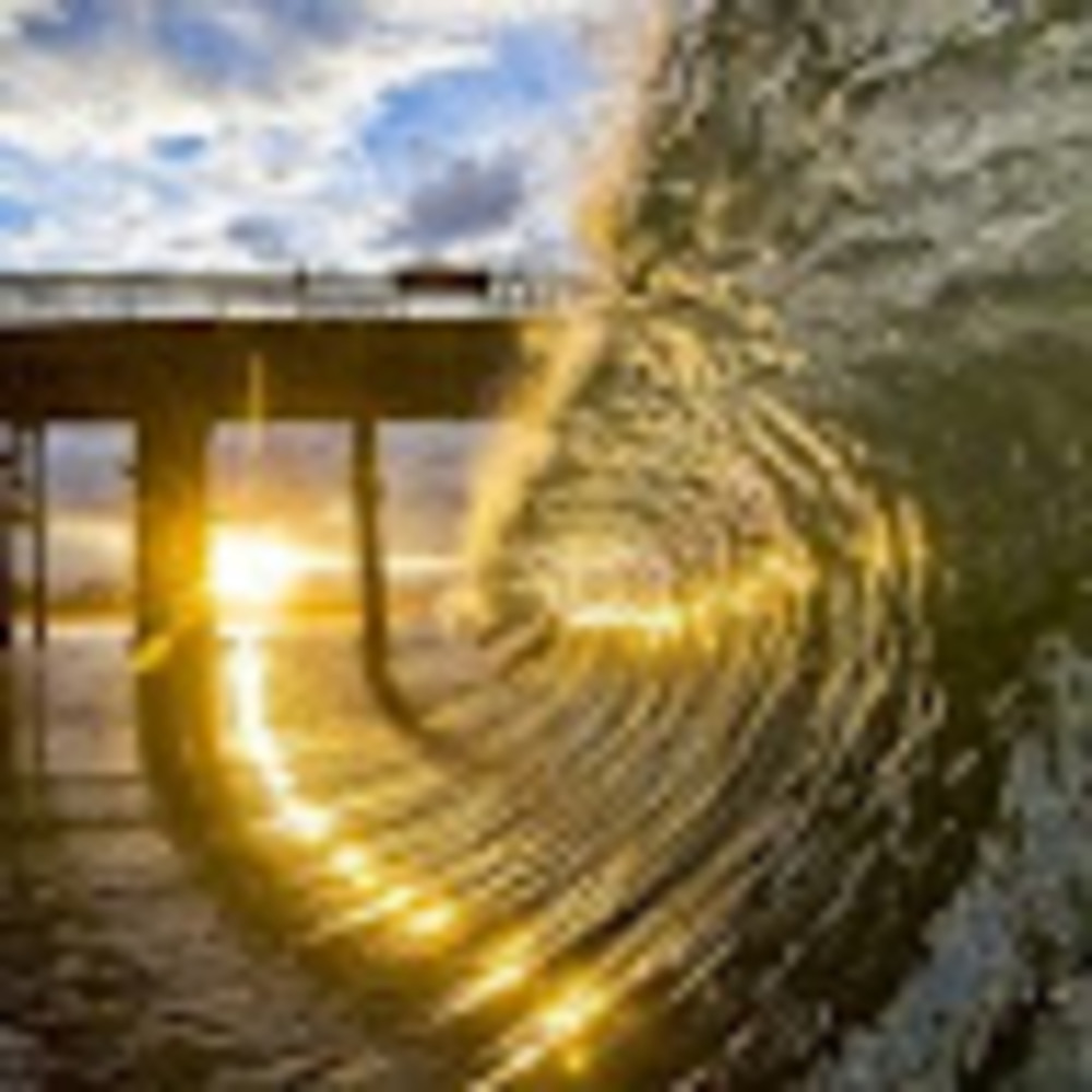 Meet your Posher, Mitch